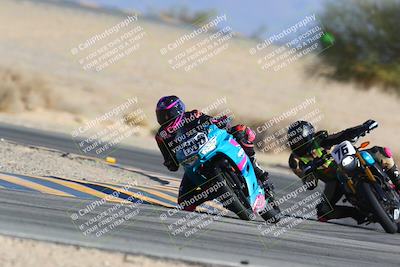 media/Jan-14-2024-SoCal Trackdays (Sun) [[2e55ec21a6]]/Turn 4 Tree of Life (155pm)/